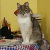 Отзыв от Евгения Блинова
